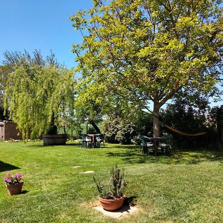 Podere Alberello Torrita di Siena Bagian luar foto